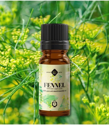 Fenicul dulce ulei esenţial pur (foeniculum vulgare) 10 ml 